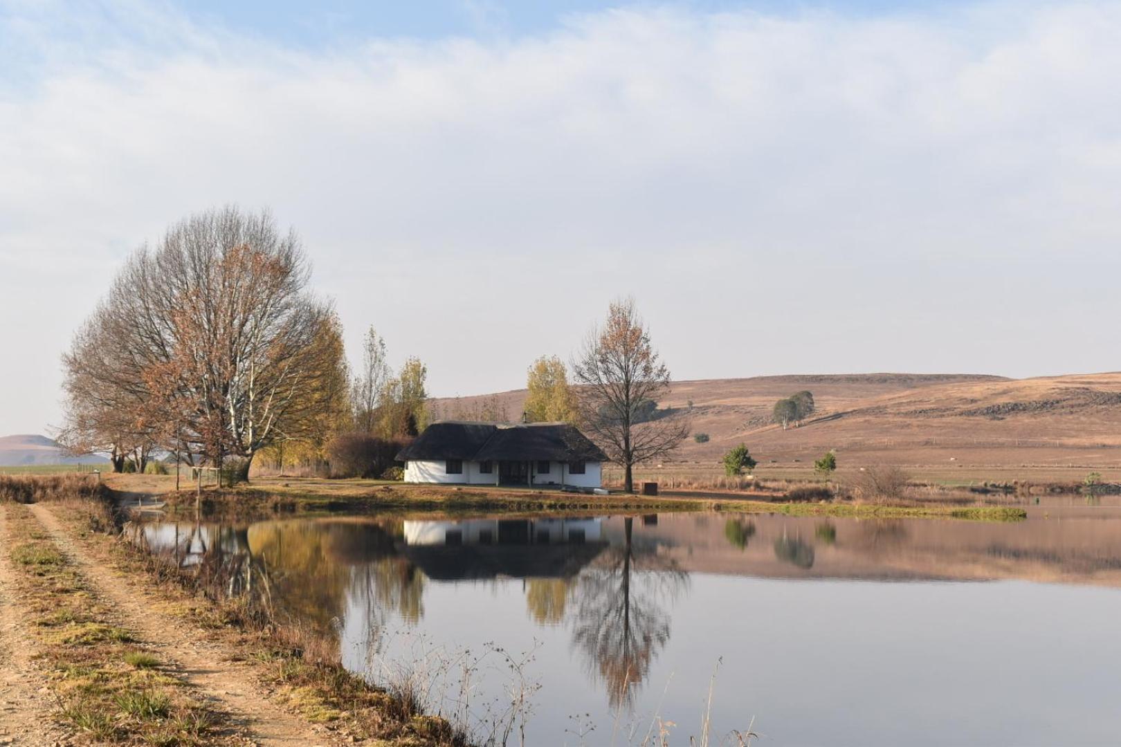 Dieu Donne Cottage อันเดอร์เบิร์ก ภายนอก รูปภาพ